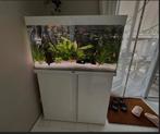 Aquarium 200 liter, Dieren en Toebehoren, Vissen | Aquaria en Toebehoren, Ophalen, Leeg aquarium