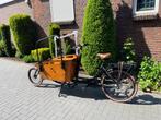 Nieuw! Qivelo Curve 2 elektrische bakfiets, uitneembare accu, Nieuw, Overige merken, Elektrisch, 4 kinderen of meer