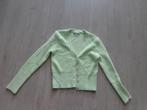 mintgroen damesvestje van Zara, en truitje van H&M, maat L, Ophalen of Verzenden, Gedragen, Maat 42/44 (L)