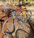 Gazelle TVM ploegfiets 731OS nobilex, Ophalen, Zo goed als nieuw, 57 tot 61 cm, Meer dan 20 versnellingen