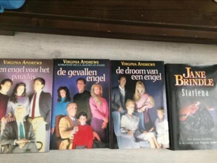 Virginia Andrews omnibussen, Boeken, Romans, Zo goed als nieuw, Ophalen of Verzenden