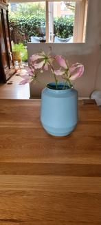 Hella Duijs Cecilia Vaas - Lichtblauw, Blauw, Aardewerk of Porselein, Ophalen of Verzenden, Zo goed als nieuw