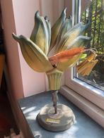 Botanisch model tarwe in gips, Antiek en Kunst, Curiosa en Brocante, Ophalen of Verzenden