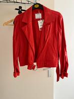 Leren jasje, Nieuw, Jasje, Maat 36 (S), Rood