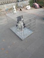 Stevige verzinkte hondenbench 90 x 60 x 60 cm, Dieren en Toebehoren, Ophalen, Gebruikt