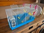 Hamster kooi, Dieren en Toebehoren, Knaagdieren en Konijnen | Hokken en Kooien, Minder dan 60 cm, Kooi, Minder dan 75 cm, Ophalen of Verzenden
