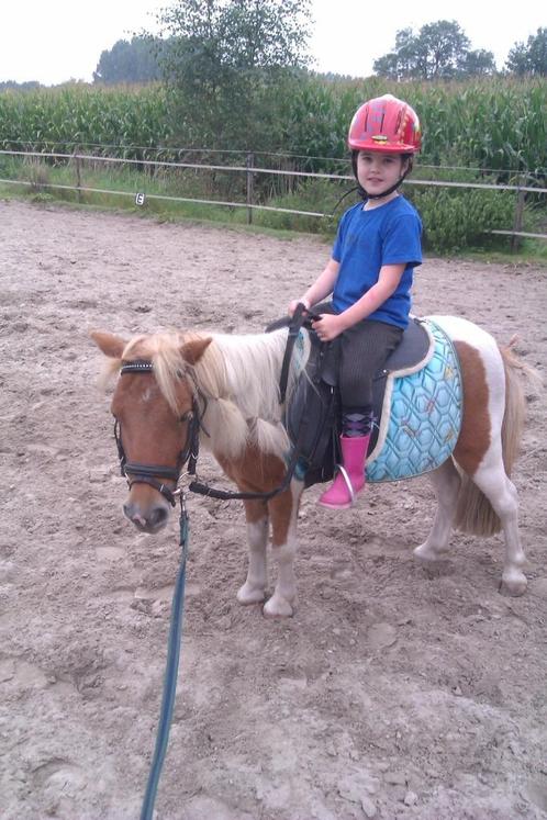 pony rijles, Diensten en Vakmensen, Dieren | Paarden | Verzorging, Oppas en Les, Paardrijles of Ponykampen