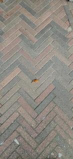 Waaltjes 8cm - 40m2+ voor Oprit/Tuinpad, Ophalen, Gebruikt, Klinkers, 10 m² of meer