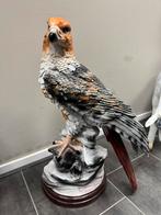 Roofvogel op rotsblok, Kunststof, ., Nieuw, Ophalen of Verzenden
