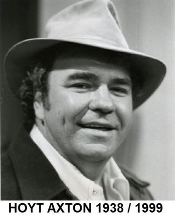HOYT AXTON, Amerikaanse singles, 5x DJ copy not for sale beschikbaar voor biedingen