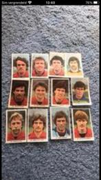 Excelsior panini vanderhout 1979-1980, Verzamelen, Sportartikelen en Voetbal, Ophalen of Verzenden, Zo goed als nieuw, Buitenlandse clubs