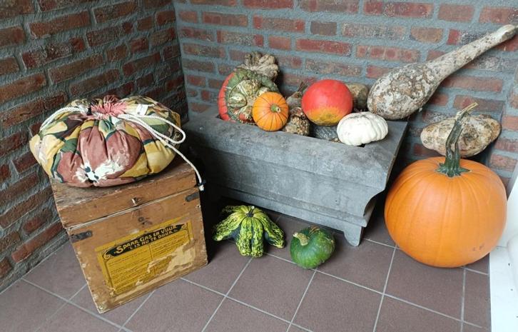 Stoofgerechten tijd! Dus ook tijd voor ALPACA WOLLEN STOOF!, Huis en Inrichting, Keuken | Keukenbenodigdheden, Nieuw, Ophalen of Verzenden