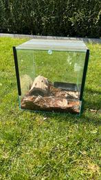 Terrarium met valdeur, Ophalen of Verzenden, Zo goed als nieuw, Terrarium of Paludarium