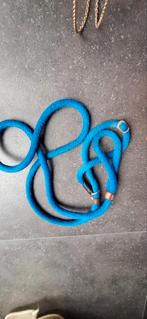 Hondenriem, trainingslijn, Ophalen