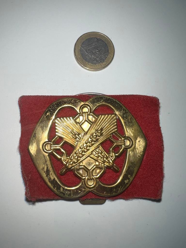 Baret Embleem Intendance - Landmacht, Verzamelen, Ophalen of Verzenden, Landmacht, Nederland, Embleem of Badge