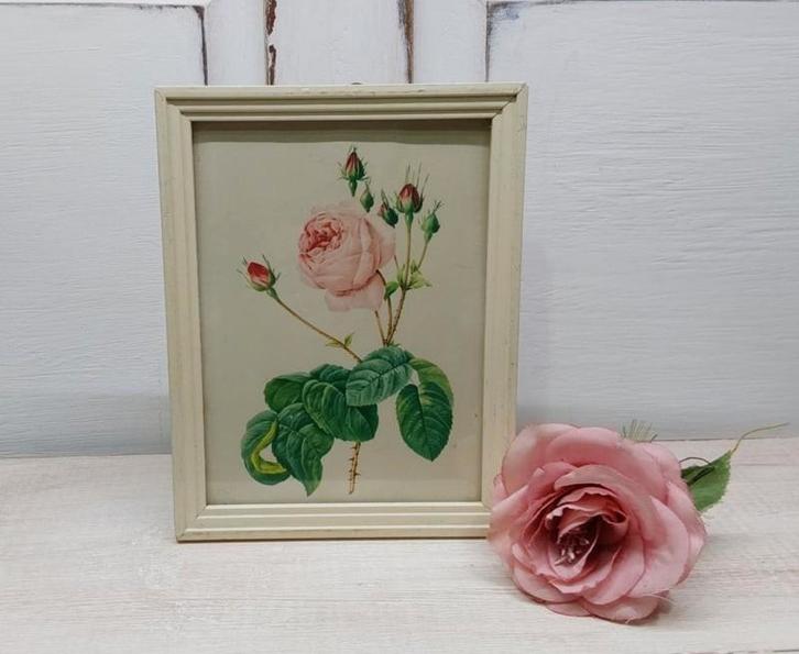 Botanische prent van Pierre Joseph Redouté, Huis en Inrichting, Woonaccessoires | Wanddecoraties, Nieuw, Ophalen of Verzenden