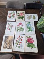 L'ILLUSTRATION HORTICOLE BOTANISCHE chromolithografieën, Ophalen