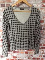 RAER Rare zwart grijs geblokte trui Large, valt als medium, Kleding | Dames, Maat 38/40 (M), Zwart, Ophalen of Verzenden, Zo goed als nieuw