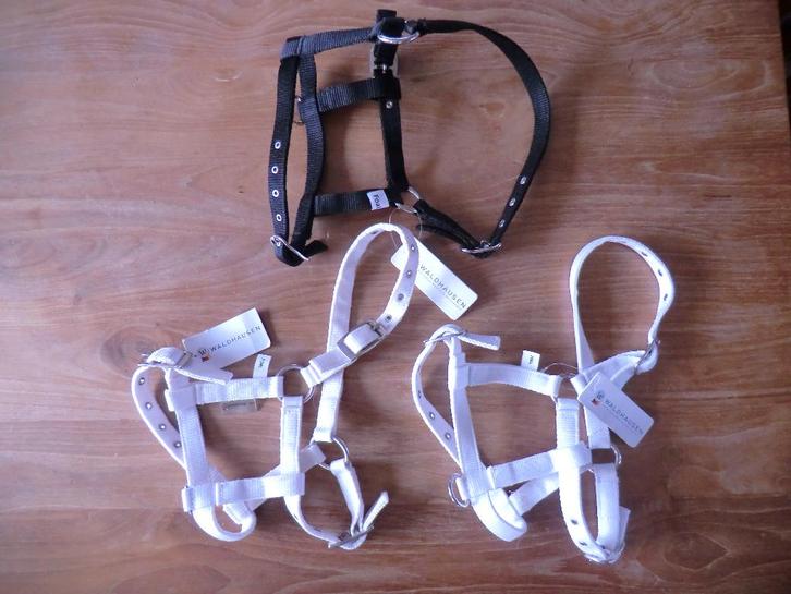 Veulen halsters Waldhausen, verstelbaar, 5 euro/stuk, nieuw!, Dieren en Toebehoren, Paarden en Pony's | Hoofdstellen en Tuigage