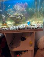 Aquarium, Dieren en Toebehoren, Vissen | Aquaria en Toebehoren, Ophalen of Verzenden, Nieuw, Leeg aquarium