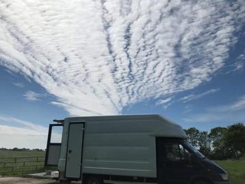 Ford transit Camper beschikbaar voor biedingen