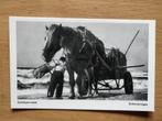 Ansichtkaart Scheveningen Horse Schelpenvisser 5257, Ophalen of Verzenden, Voor 1920, Zuid-Holland