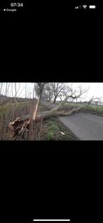 Gezocht haardhout, Tuin en Terras, Ophalen of Verzenden