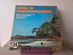 Bert van de Broek - hawaii en krontjongmelodieën, Ophalen of Verzenden, Gebruikt, 12 inch