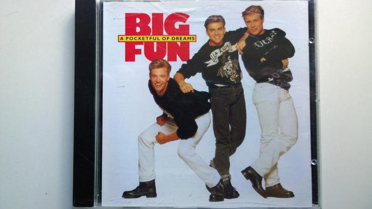 Big Fun - A Pocketful Of Dreams, Cd's en Dvd's, Cd's | Pop, Zo goed als nieuw, Ophalen of Verzenden