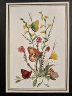 Vlinders getekend Marius Kolvoort, Verzenden, 1980 tot heden, Gelopen, Overige soorten