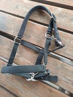 Shetland halster Covalliero, Dieren en Toebehoren, Paarden en Pony's | Hoofdstellen en Tuigage, Ophalen of Verzenden, Zo goed als nieuw