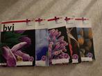 Biologie VWO 4-5-6 boeken, VWO, Malmberg, Biologie, Ophalen