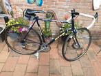 BATAVUS  d'light RACE FIETS 56 cm frame hoogte, Ophalen, Batavus, Zo goed als nieuw, 53 tot 57 cm