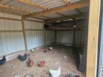 Kippen te koop met kuikens, Dieren en Toebehoren, Vogels | Overige Vogels