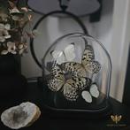 (Ovale) vlinderstolp/Vlinders in stolp, Huis en Inrichting, Ophalen of Verzenden, Wingsandflowers@outlook.com, Touwbaan 11, 2941 XV Lekkerkerk