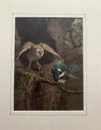 Arthur Charles Dodd 1887 vechtende vogels, Antiek en Kunst, Kunst | Etsen en Gravures, Verzenden