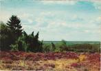 ROLDE Heidelandschap, Verzamelen, Ansichtkaarten | Nederland, Verzenden, 1960 tot 1980, Gelopen, Drenthe