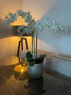 Orchidee plant met goud/zilver kleurige pot intratuin, Ophalen of Verzenden, Zo goed als nieuw