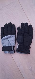 Ski handschoenen, jongen maat 134-140, Kleding | Heren, Mutsen, Sjaals en Handschoenen, Handschoenen, Gedragen, Ophalen of Verzenden