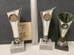 Trofeeën/wedstrijdbekers/sportprijzen/bokalen (set 12), Sport en Fitness, Ophalen of Verzenden, Gebruikt