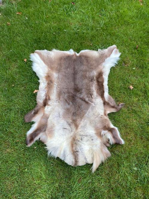 Rendierenvel uit Noorwegen, Verzamelen, Dierenverzamelingen, Zo goed als nieuw, Overige typen, Wild dier, Ophalen of Verzenden