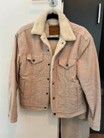 Levi’s, jas beige rib, maat S, katoen, Beige, Ophalen of Verzenden, Zo goed als nieuw, Maat 36 (S)