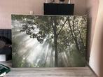 Groot Canvas Boom, Ophalen