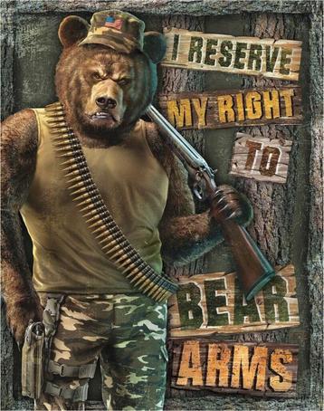 I Reserve My Right To Bear Arms .  Metalen wandbord 31,5 x 4 beschikbaar voor biedingen