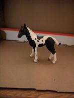 Pinto veulen, Ophalen of Verzenden, Nieuw