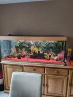 Aquarium te koop, Ophalen, Leeg aquarium