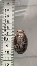 Gegraveerde schelp met afbeelding van een zeepaardje, Ophalen of Verzenden