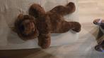 Beer lotgenootje, Kinderen en Baby's, Speelgoed | Knuffels en Pluche, Ophalen of Verzenden, Zo goed als nieuw, Beer