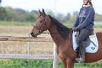 lieve en betrouwbare merrie, Dieren en Toebehoren, Merrie, Gechipt, Zadelmak, 3 tot 6 jaar