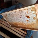 Nl honnig: voor medicale, cosmetische, Ophalen of Verzenden